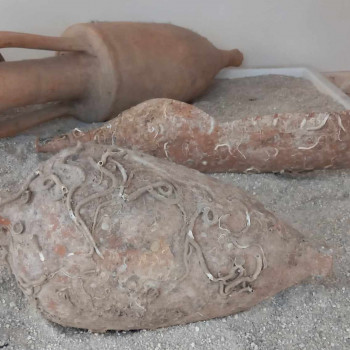 Anfore trasporto olio e vino